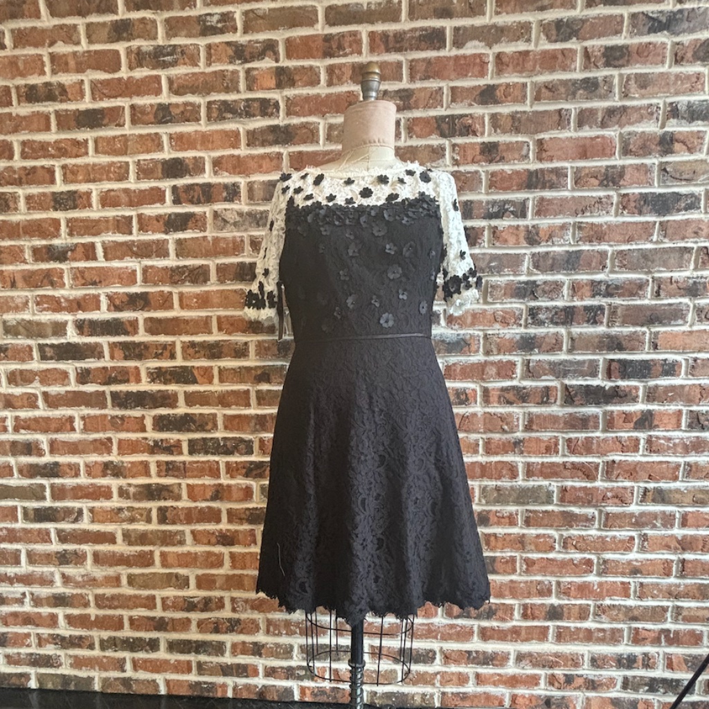 Floral Applique Fit And Flare Lace Dress